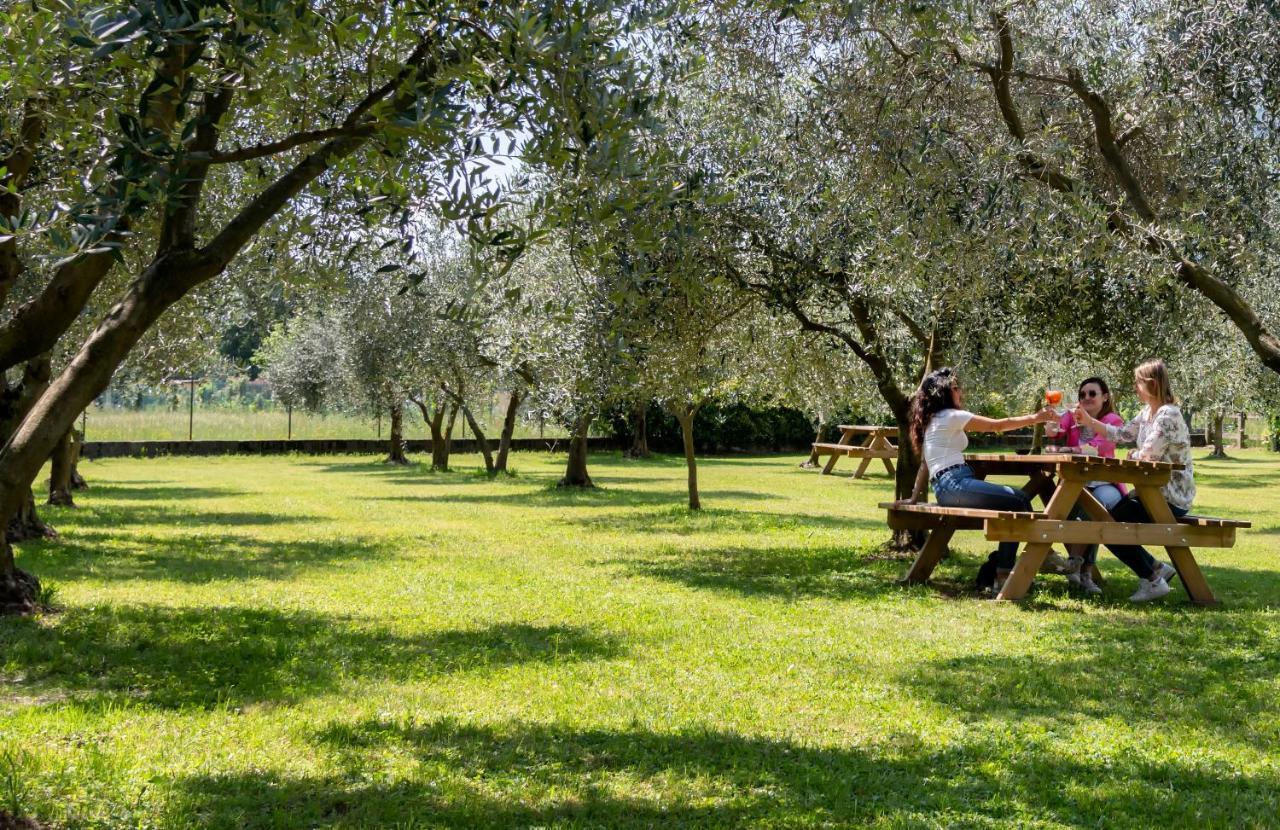 Agriturismo Ca Del Lago Gravedona Ngoại thất bức ảnh