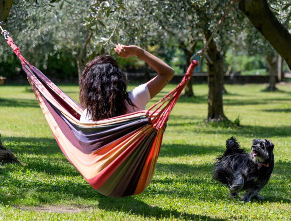 Agriturismo Ca Del Lago Gravedona Ngoại thất bức ảnh