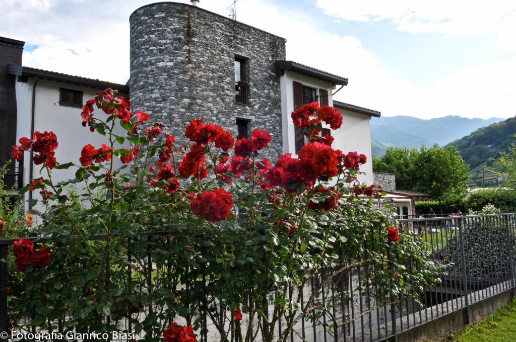 Agriturismo Ca Del Lago Gravedona Ngoại thất bức ảnh