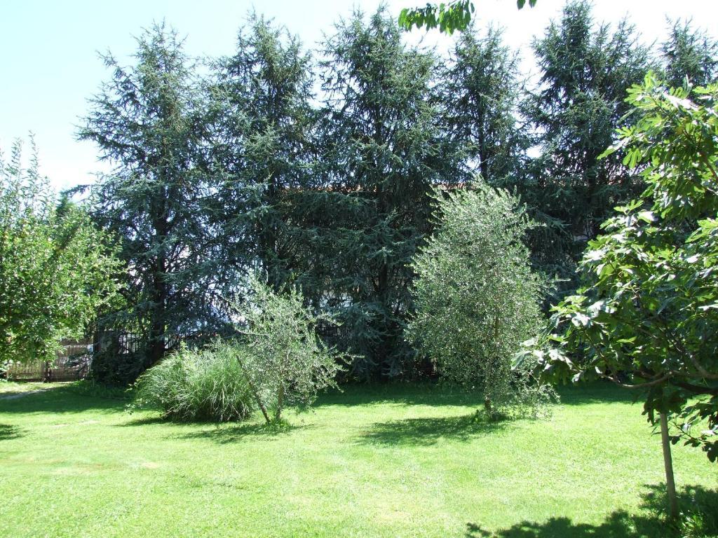 Agriturismo Ca Del Lago Gravedona Ngoại thất bức ảnh