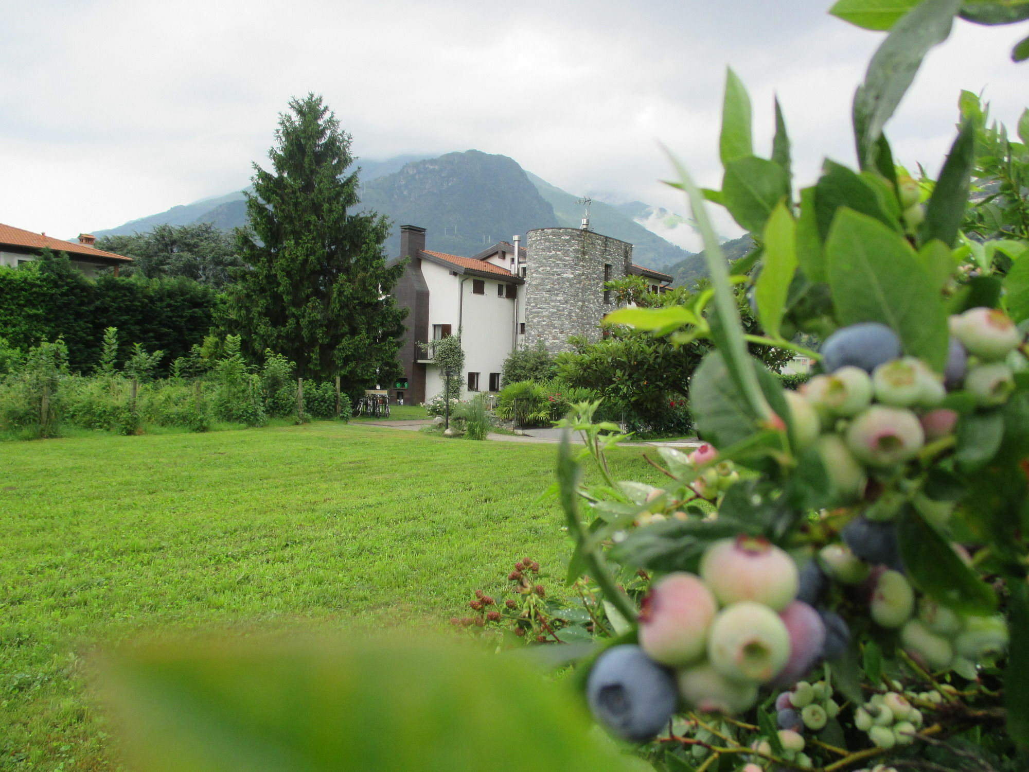 Agriturismo Ca Del Lago Gravedona Ngoại thất bức ảnh
